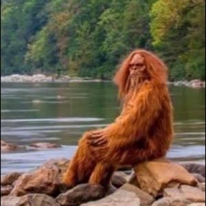 Meet your Posher, Bruce